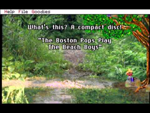 dr-quandary-beach-boys